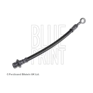 ADH253207 BLUE PRINT