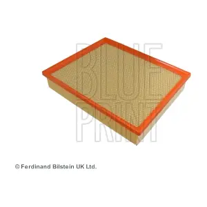 ADV182233 BLUE PRINT