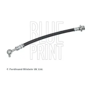 ADN153187 BLUE PRINT