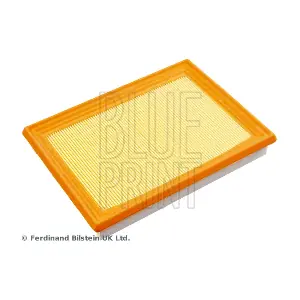 BLUE PRINT ADN12282
