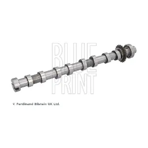 ADBP610408 BLUE PRINT