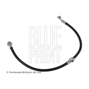 ADN153273 BLUE PRINT