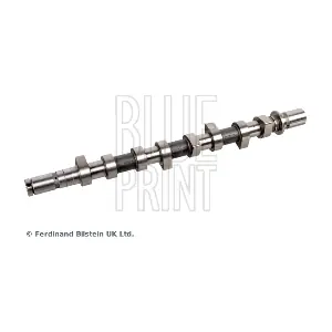 BLUE PRINT ADBP610042