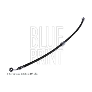 ADH253142 BLUE PRINT