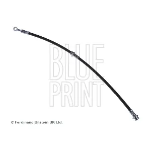 ADN153139 BLUE PRINT