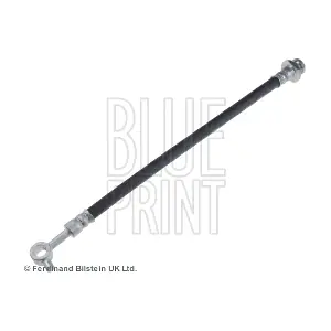 ADN153183 BLUE PRINT