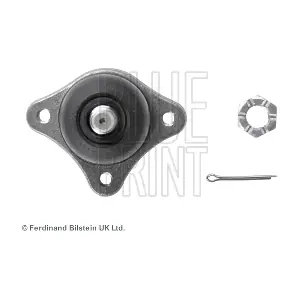 ADC48685 BLUE PRINT
