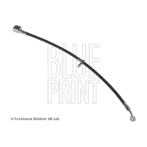 ADH253193 BLUE PRINT