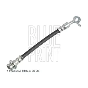 ADBP530036 BLUE PRINT