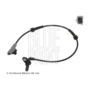 ADN17165 BLUE PRINT