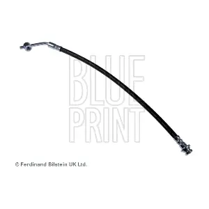 ADN153159 BLUE PRINT