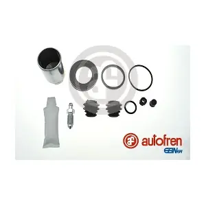 D42252C AUTOFREN SEINSA