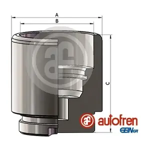 D025641 AUTOFREN SEINSA