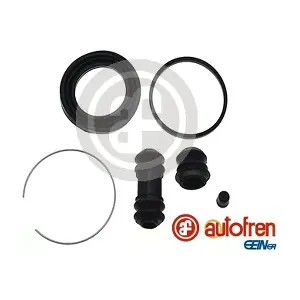 D41226 AUTOFREN SEINSA