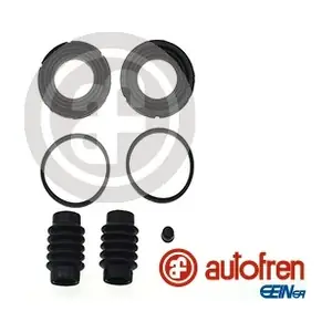 D42246 AUTOFREN SEINSA
