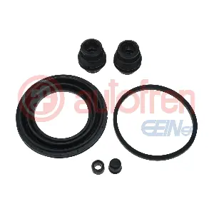 D43131 AUTOFREN SEINSA