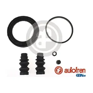 D42831 AUTOFREN SEINSA