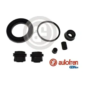 D43106 AUTOFREN SEINSA