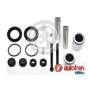 D43833S AUTOFREN SEINSA
