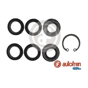 D1796 AUTOFREN SEINSA