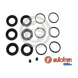 D42935 AUTOFREN SEINSA