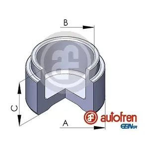 D025513 AUTOFREN SEINSA