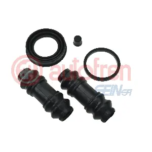 D43655 AUTOFREN SEINSA