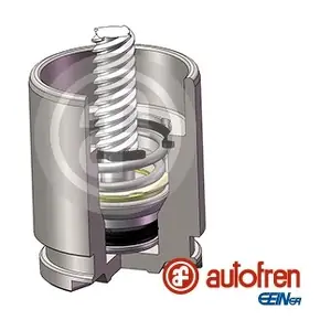 D025780K AUTOFREN SEINSA
