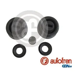 D3176 AUTOFREN SEINSA
