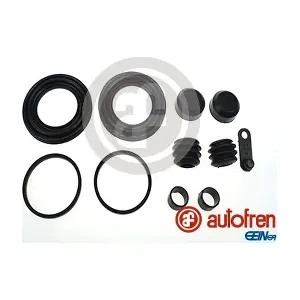 D42245 AUTOFREN SEINSA