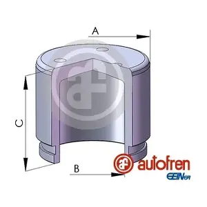 D025783 AUTOFREN SEINSA