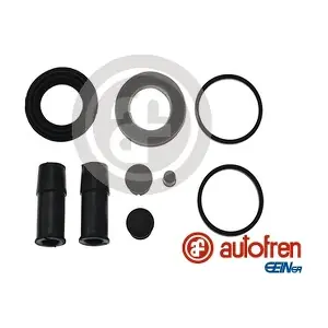 D42144 AUTOFREN SEINSA