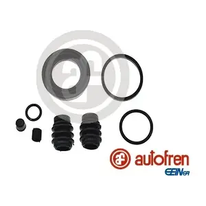 D42151 AUTOFREN SEINSA