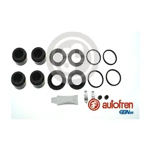 D42147C AUTOFREN SEINSA