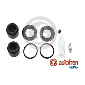 D42146C AUTOFREN SEINSA
