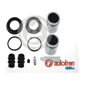 D42502C AUTOFREN SEINSA