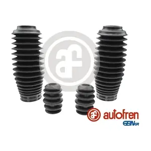 D5234 AUTOFREN SEINSA