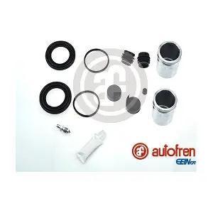D42155C AUTOFREN SEINSA