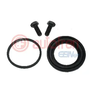D43669 AUTOFREN SEINSA
