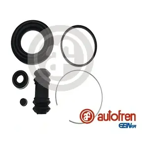 D4209 AUTOFREN SEINSA