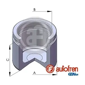 D02581 AUTOFREN SEINSA