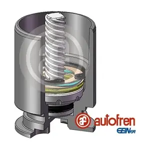 D025122LK AUTOFREN SEINSA