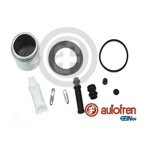 D4960C AUTOFREN SEINSA