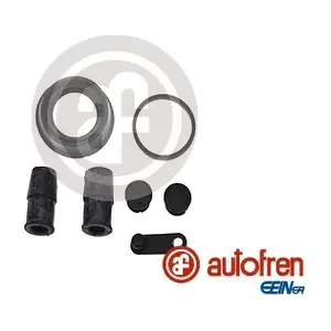 D42408 AUTOFREN SEINSA