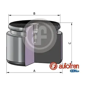 D025625 AUTOFREN SEINSA
