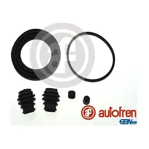 D42232 AUTOFREN SEINSA