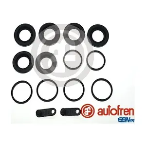 D42186 AUTOFREN SEINSA