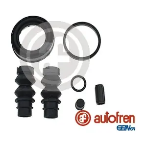 D42596 AUTOFREN SEINSA