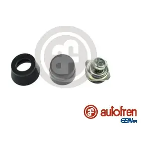 D1009 AUTOFREN SEINSA