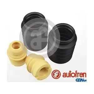 D5189 AUTOFREN SEINSA